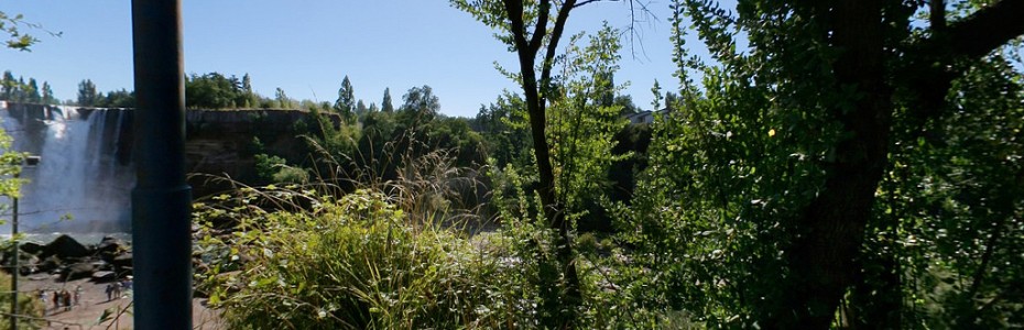 LAJA08