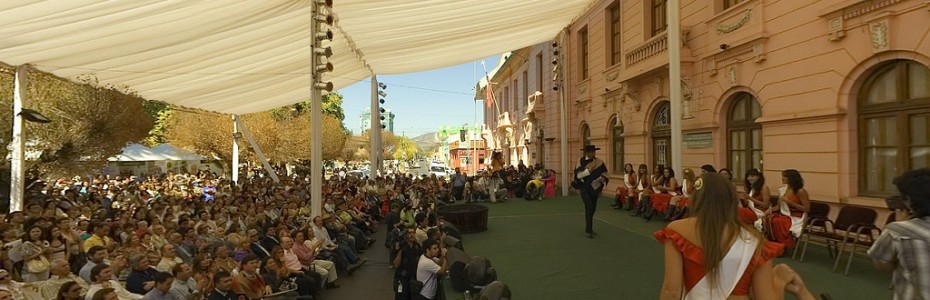 VENDIMIA_2009_03